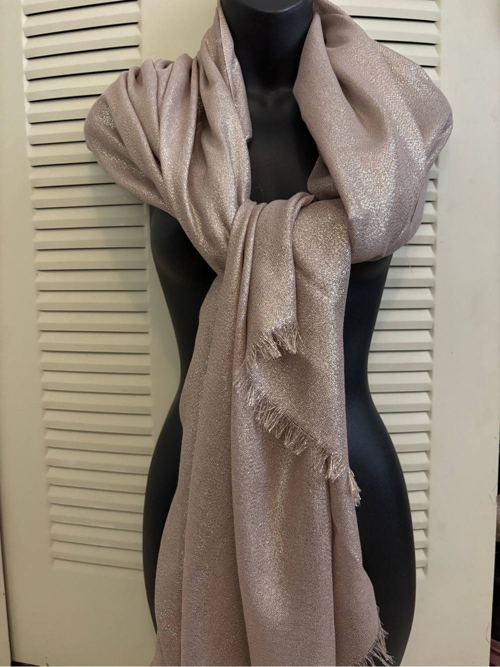 Shimmery Light Metallic Beige Fringe Scarf - Women Accessories
